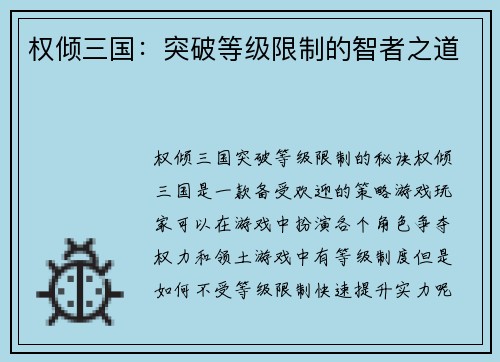 权倾三国：突破等级限制的智者之道